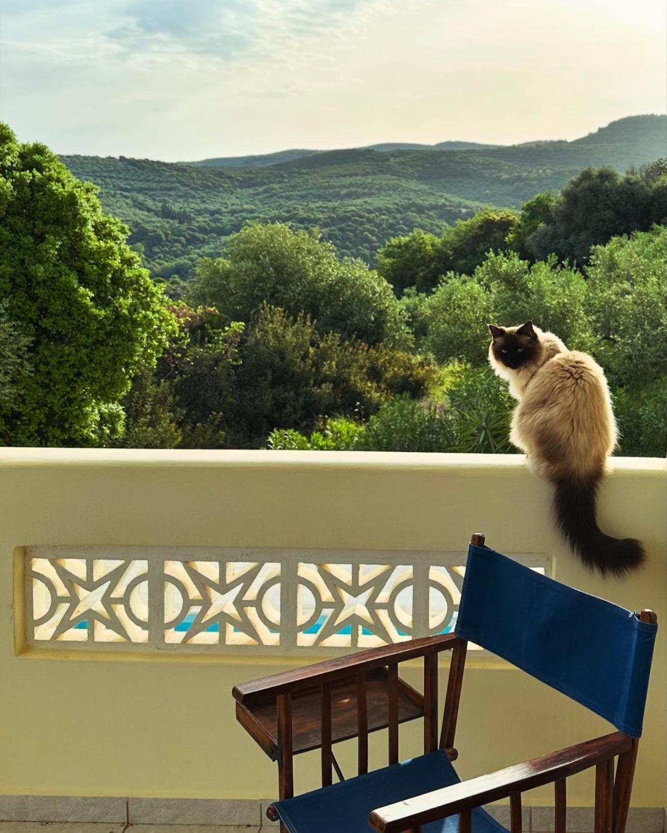 Вилла Kyparissia De Wandelboom Vrises  Экстерьер фото